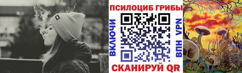 МЕГА ссылки Злынка Псилоцибиновые грибы Cubensis купить наркотик
